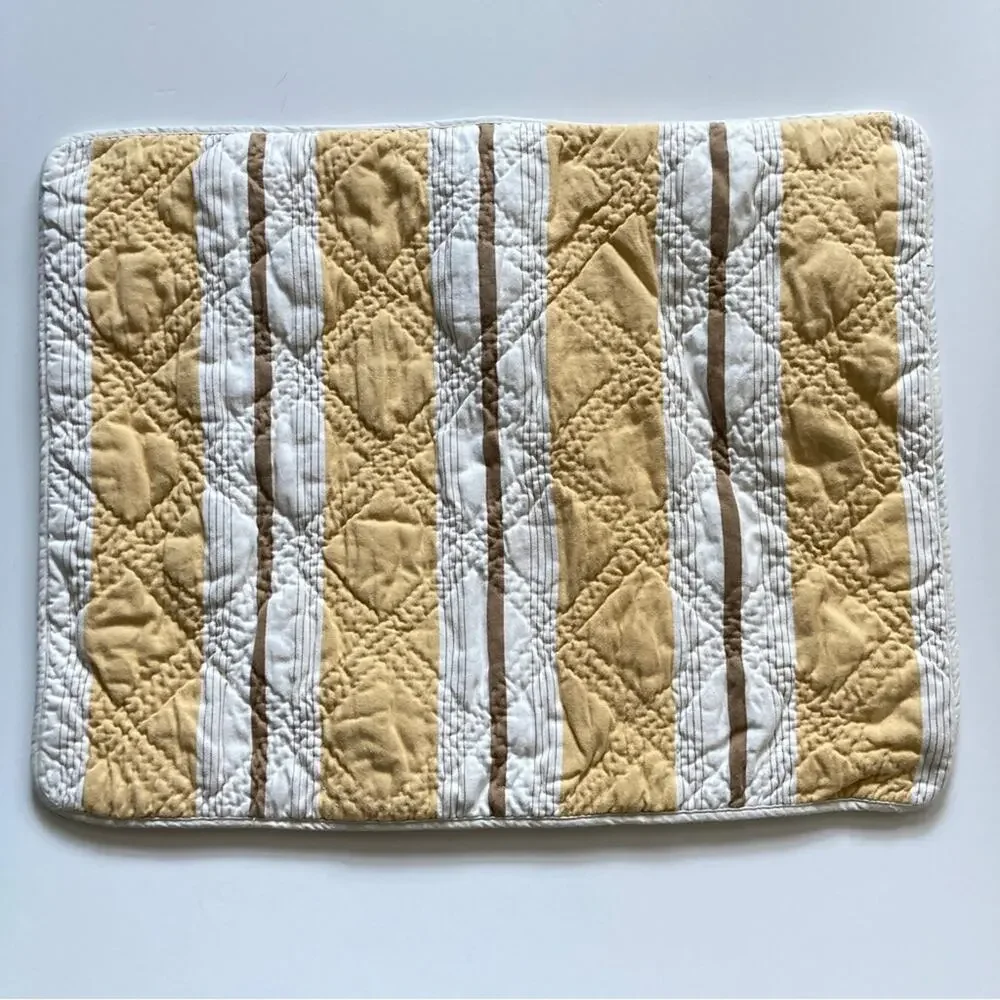 Restoration Hardware Pillow Shams Standard